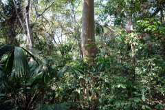 Parque Nacional Natural Tayrona.