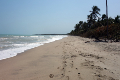 Palomino Beach, Palomino.