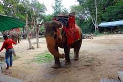 Elefant vid Sanctuary Of Truth, Pattaya.