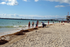 Stranden i centrala Playa del Carmen.