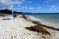 Stranden i centrala Playa del Carmen.