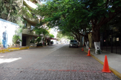 Gatuscen i Playacar, Playa del Carmen.