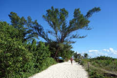 Stig av sand ut till Playa Esmeralda, Playa del Carmen.