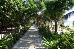 Djungelpromenad bakom Playa Esmeralda, Playa del Carmen.