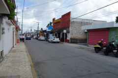 Gatuscen i San Miguel de Cozumel, isla Cozumel.