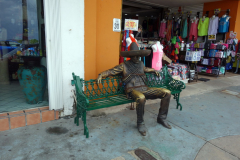 Gatuscen i San Miguel de Cozumel, isla Cozumel.