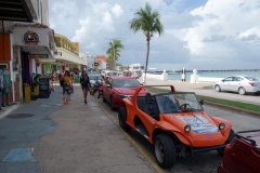 Gatuscen i San Miguel de Cozumel, isla Cozumel.