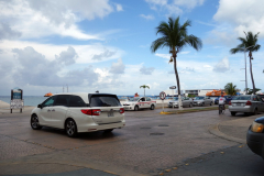 Gatuscen i San Miguel de Cozumel, isla Cozumel.