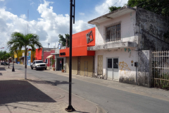 Gatuscen i San Miguel de Cozumel, isla Cozumel.