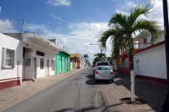 Gatuscen i San Miguel de Cozumel, isla Cozumel.