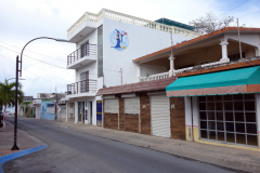 Gatuscen i San Miguel de Cozumel, isla Cozumel.