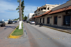 Gatuscen längs malecón, San Miguel de Cozumel, isla Cozumel.