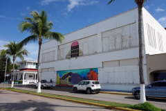 Gatuscen längs malecón, San Miguel de Cozumel, isla Cozumel.