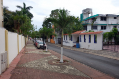 Gatuscen i San Miguel de Cozumel, isla Cozumel.