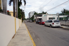 Gatuscen i San Miguel de Cozumel, isla Cozumel.