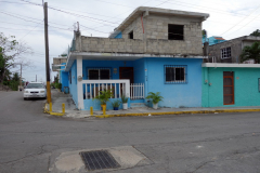 Gatuscen i San Miguel de Cozumel, isla Cozumel.