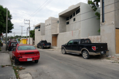 Gatuscen i San Miguel de Cozumel, isla Cozumel.