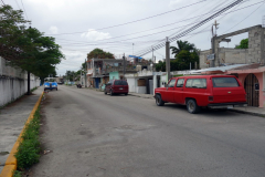 Gatuscen i San Miguel de Cozumel, isla Cozumel.
