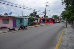 Gatuscen i San Miguel de Cozumel, isla Cozumel.