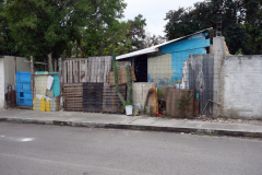 Gatuscen i San Miguel de Cozumel, isla Cozumel.
