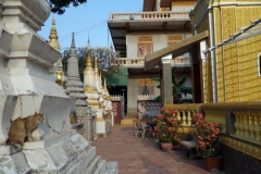 Tempelkatt, Wat Ounalom, Phnom Penh.