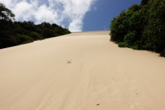 Sanddynen Morro do Careca, Praia do Ponta Negra.