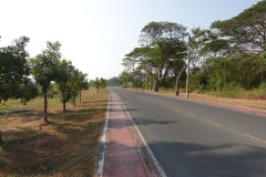 Cykling längs vägen inne på flygbasen, Prachuap Khiri Khan.