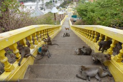 Trappan upp till Khao Chong Krachok, Prachuap Khiri Khan.