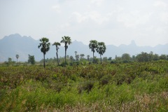 Landskapet under tågresan mellan Hua Hin och Prachuap Khiri Khan.