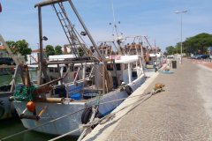 Fiskebåtar i Porto Canale, Rimini.
