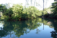 Naturen vid Hotel Kangaroo, en bit utanför Río Dulce.