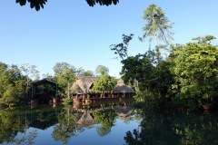 Naturen vid Hotel Kangaroo, en bit utanför Río Dulce.