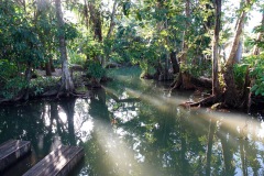 Naturen vid Hotel Kangaroo, en bit utanför Río Dulce.
