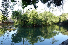 Naturen vid Hotel Kangaroo, en bit utanför Río Dulce.
