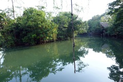 Naturen vid Hotel Kangaroo, en bit utanför Río Dulce.
