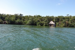 Strandlinjen i El Golfete.
