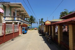 Gatuscen, Livingston.