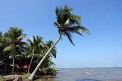 Stranden i centrala Livingston.