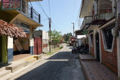 Gatuscen, Livingston.