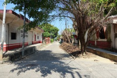 Gatuscen, Livingston.