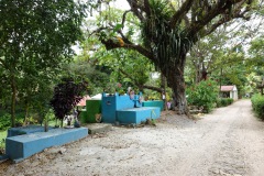 På promenad i San Felipe de Lara.