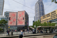 Gatuscen i centrala Rotterdam.