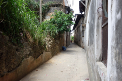 Förfallen gränd i Stone Town (Zanzibar Town), Unguja.