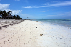 Jambiani Beach.