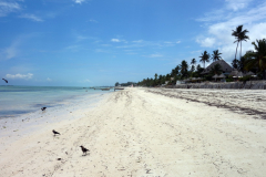 Jambiani Beach.