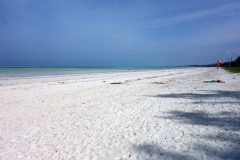 Jambiani Beach.