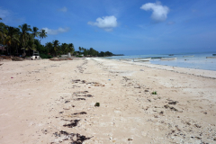 Kizimkazi Beach, Unguja.