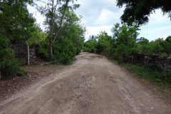 Huvudväg genom byn, Kizimkazi, Unguja.
