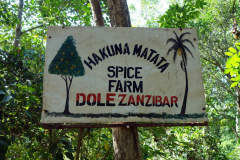 Dole spice farm, Unguja.