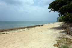 Stranden i Fumba, Unguja.